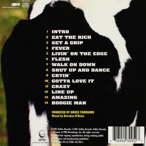 Aerosmith - Get a Grip (CD)