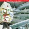 Alan Parsons Project - I Robot (Mobile Fidelity - SACD)