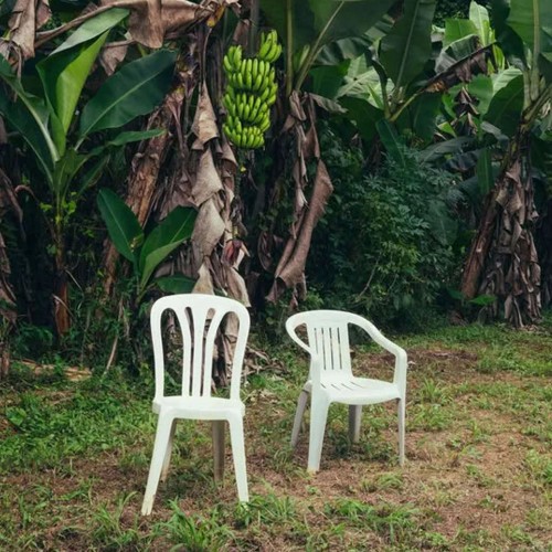 Bad Bunny - Debí Tirar Más Fotos (Fehér - 2LP)