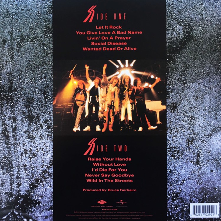 Bon Jovi - Slippery When Wet (LP)