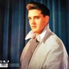 Elvis Presley - 50,000,000 Elvis Fans Can't Be Wrong [Elvis' Gold Records Volume 2] (LP)