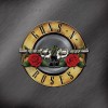  Guns N' Roses - Greatest Hits (2LP)