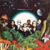 Stereo MC's - Connected (LP)