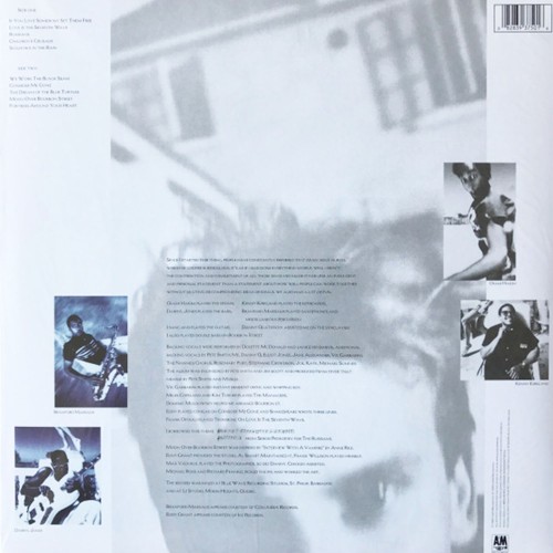 Sting - The Dream Of The Blue Turtles (LP)
