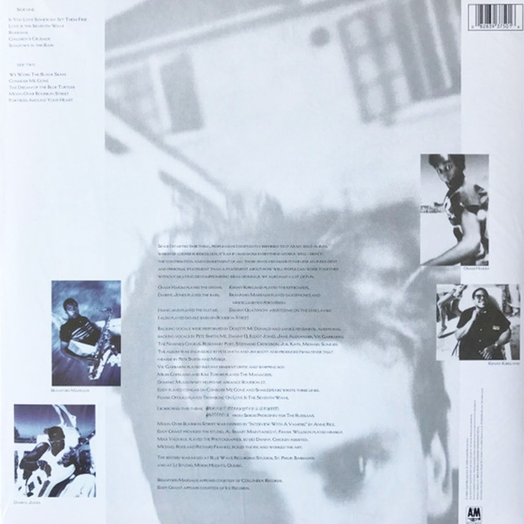 Sting - The Dream Of The Blue Turtles (LP)