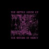 The Sisters Of Mercy - The Reptile House E.P (Füstös-EP)