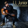L.L. Junior - Más környékről származom (CD)