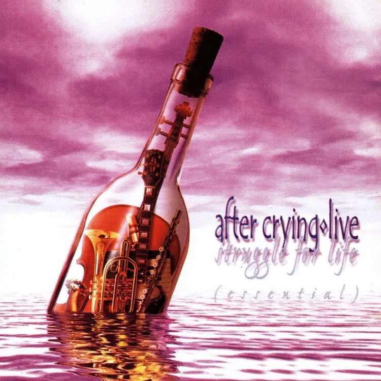 After Crying - Struggle for life [Essential] (CD)