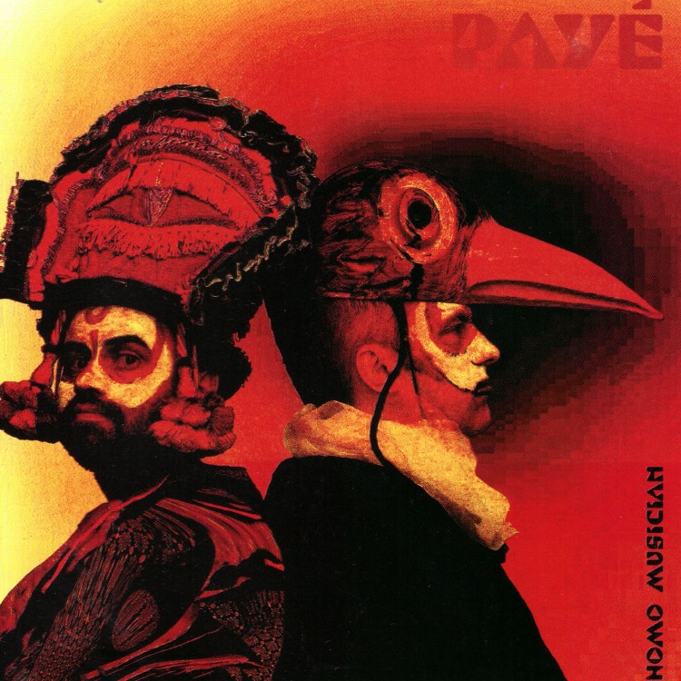 Payé - Homo Musician (CD)