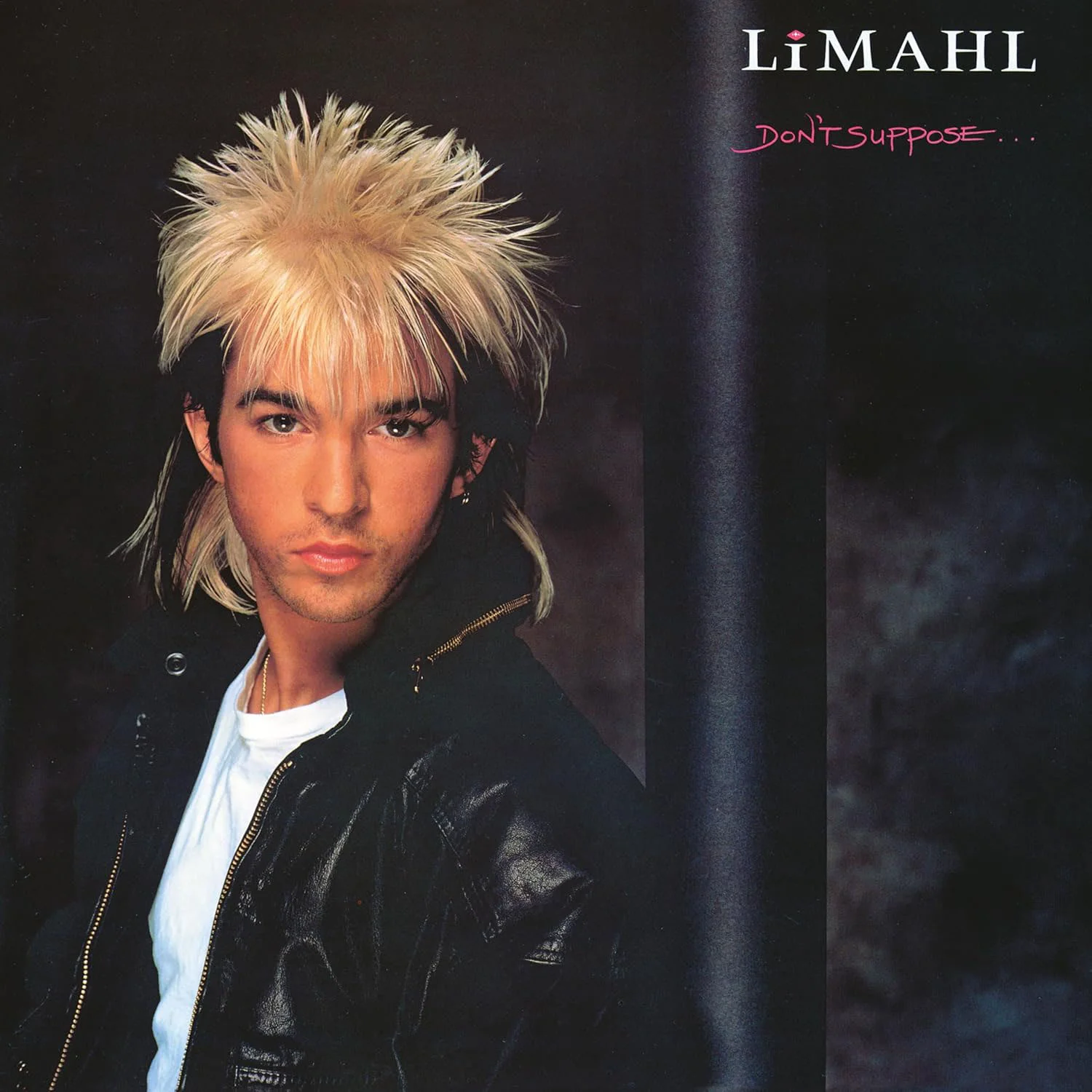 洋楽 Limahl Don't Suppose EMS91080 LP / y121 Limahl - Don't Suppose (Lila - LP)
