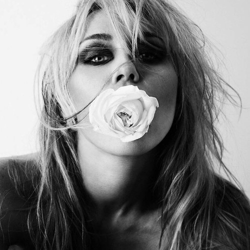 Miley - Bass Persuades (CD)