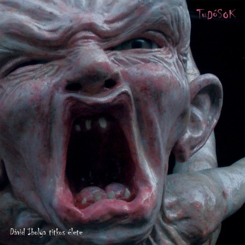 Tudósok - Dávid Ibolya titkos élete (CD)