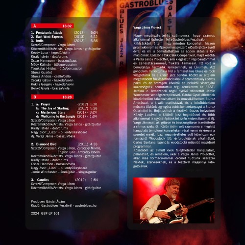 Varga János Project - Best Of Gastroblues (LP)